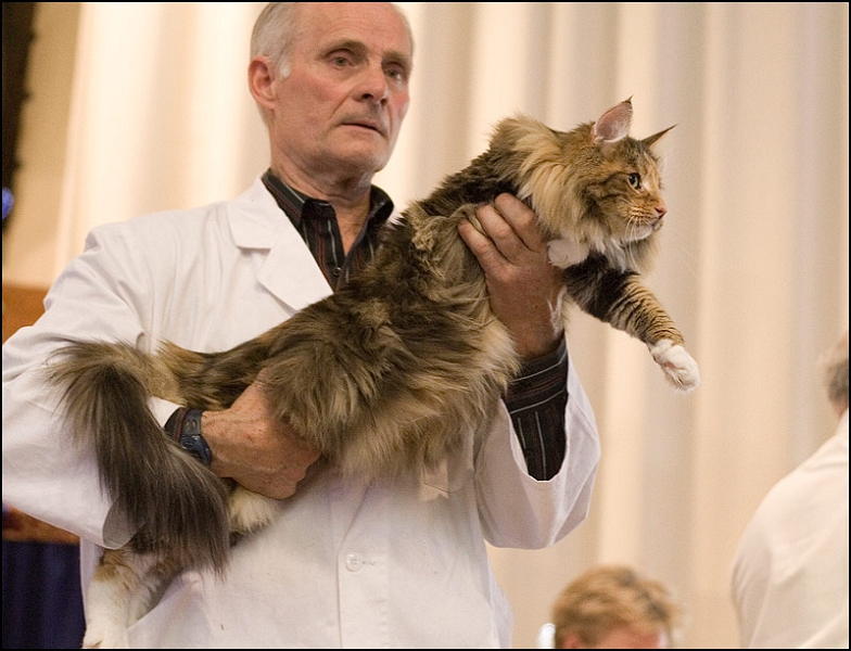 Inconnu 13.jpg - Inconnu